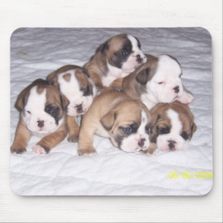 Alfombrilla De Ratón perritos del bulldog