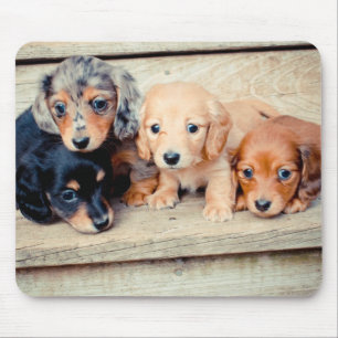 Alfombrilla De Ratón Perritos del Dachshund