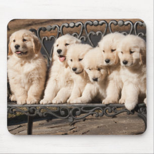 Alfombrilla De Ratón Perritos del golden retriever