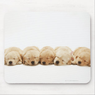 Alfombrilla De Ratón Perritos del golden retriever
