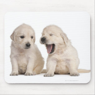 Alfombrilla De Ratón Perritos del golden retriever (4 semanas de viejo)