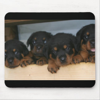 Alfombrilla De Ratón perritos del rottie