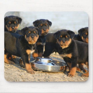 Alfombrilla De Ratón perritos del rottweiler
