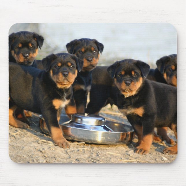 Alfombrilla De Ratón perritos del rottweiler (Frente)