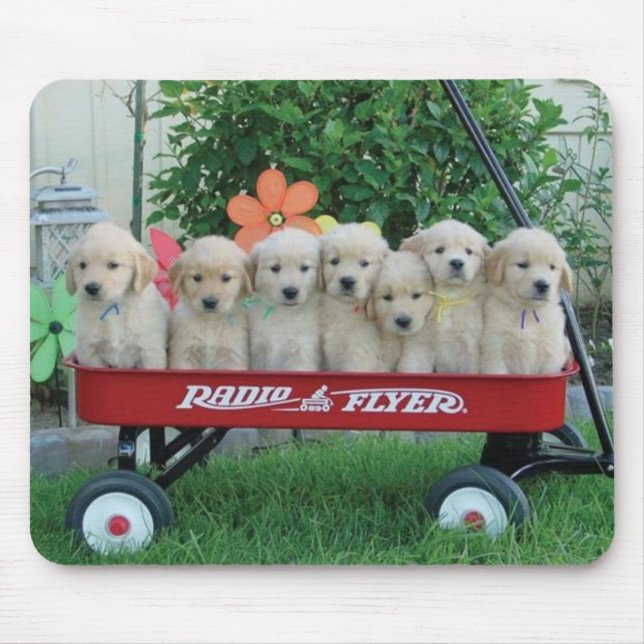 Alfombrilla De Ratón Perritos Mousepad del carro (Frente)
