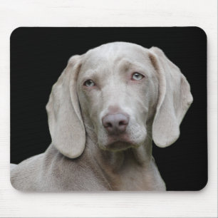 Alfombrilla De Ratón perro