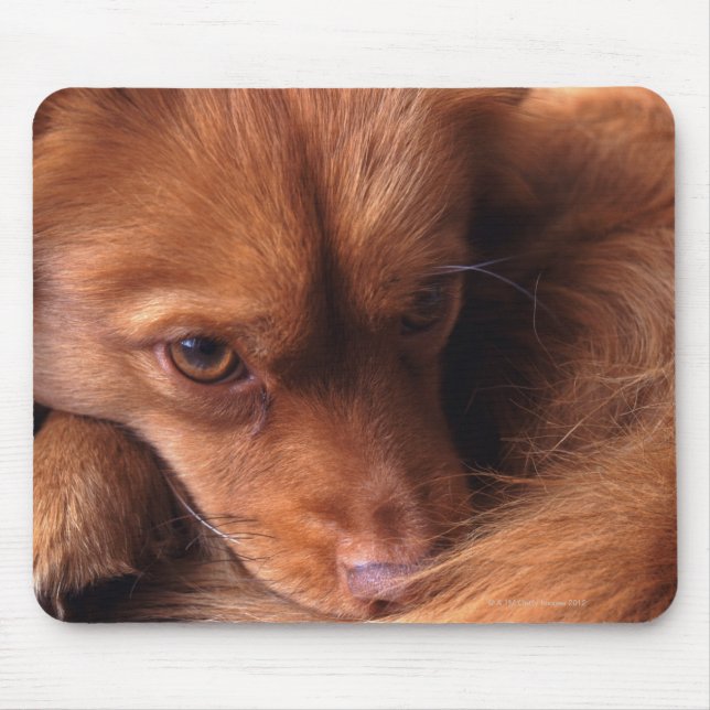 Alfombrilla De Ratón perro (Frente)