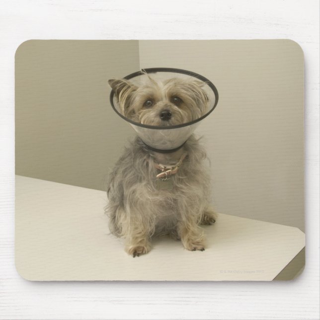 Alfombrilla De Ratón Perro aterrador con collar protector (Frente)