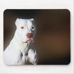 Alfombrilla De Ratón Perro blanco del rescate de Pitbull Terrier del