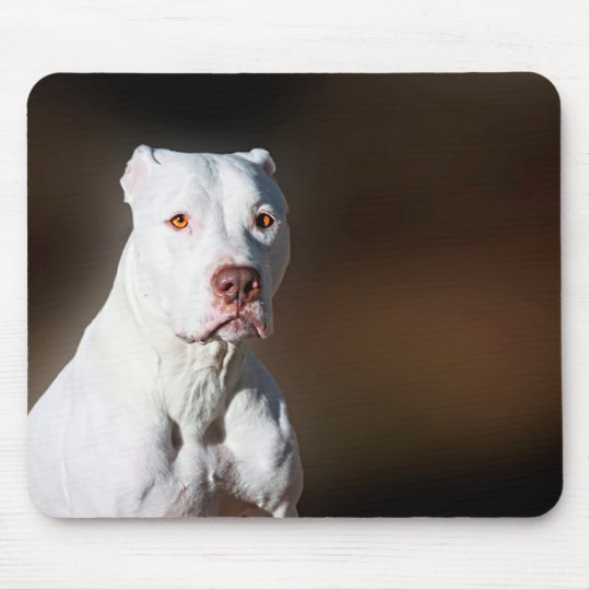 Alfombrilla De Raton Perro Blanco Del Rescate De Pitbull Terrier Del Zazzle Es