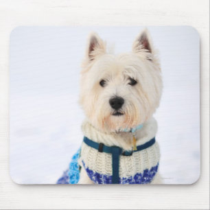Alfombrilla De Ratón Perro blanco en ropa en la nieve