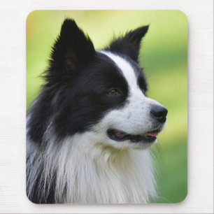 Alfombrilla De Ratón Perro Border Collie negro y blanco