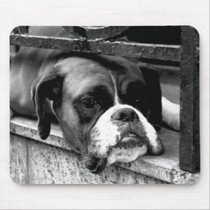 Alfombrilla De Ratón Perro Boxer en el arco mp2 de Windowsill
