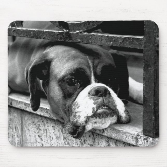 Alfombrilla De Ratón Perro Boxer en el arco mp2 de Windowsill (Frente)