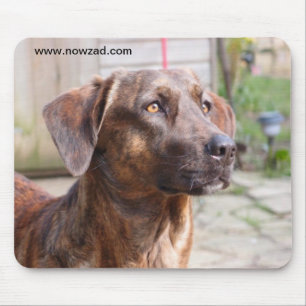 Alfombrilla De Ratón Perro Brin Mousepad del rescate de Nowzad