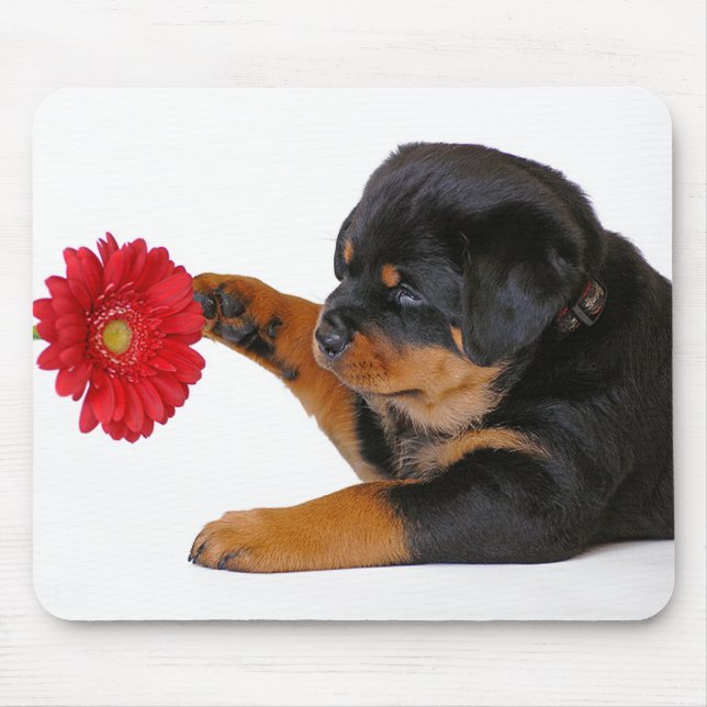 Alfombrilla De Ratón Perro cachorro Rottweiler con Gerbera Daisy Mousep (Frente)