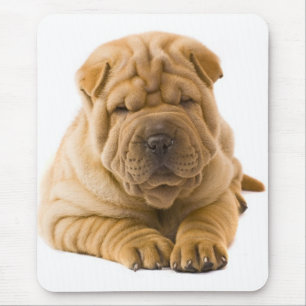 Alfombrilla De Ratón Perro chino shii pei cachorro - Sharpei