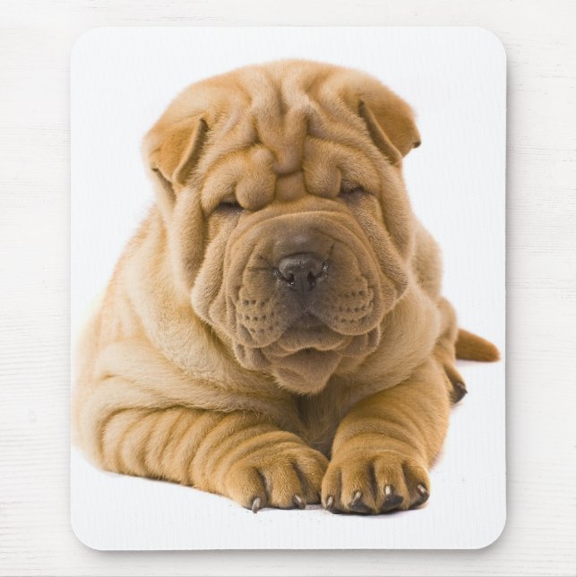 Alfombrilla De Ratón Perro chino shii pei cachorro - Sharpei (Frente)
