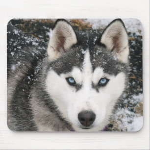 Alfombrilla De Ratón Perro cociente siberiano espumoso en Mousepad de n