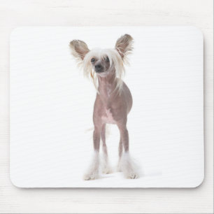 Alfombrilla De Ratón Perro con cresta chino Mouspad