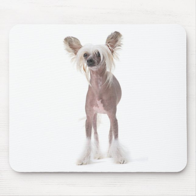 Alfombrilla De Ratón Perro con cresta chino Mouspad (Frente)