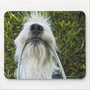 Alfombrilla De Ratón Perro con el correo en boca