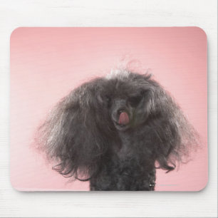 Alfombrilla De Ratón Perro con el pelo delante de la cara y de la