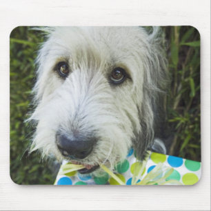 Alfombrilla De Ratón Perro con el regalo en boca