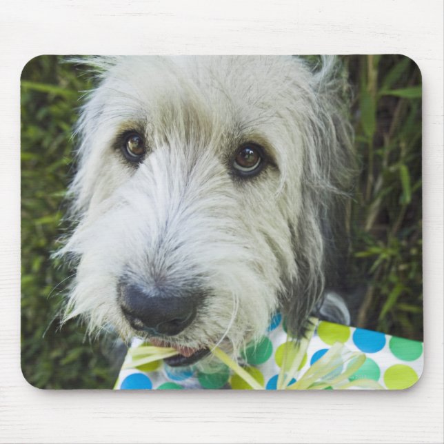 Alfombrilla De Ratón Perro con regalo en la boca (Frente)