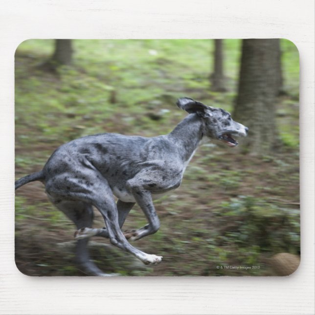 Alfombrilla De Ratón Perro corriendo en los bosques (Frente)