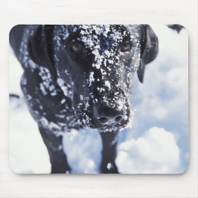 Alfombrilla De Ratón Perro cubierto de nieve (Frente)