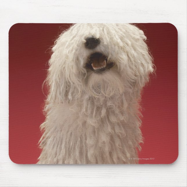 Alfombrilla De Ratón Perro Cute Komondor (Frente)