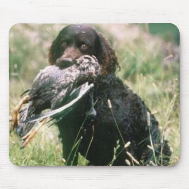 Alfombrilla De Ratón Perro de aguas de agua americana Mousepad (Frente)