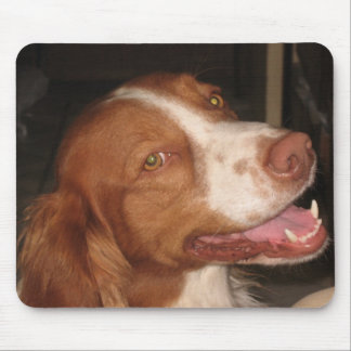 Alfombrilla De Ratón Perro de aguas de Bretaña sonriente