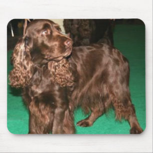 Alfombrilla De Ratón Perro de aguas de campo Mousepad