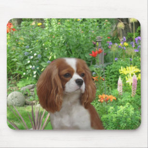 Alfombrilla De Ratón Perro de aguas de rey Charles arrogante Mousepad
