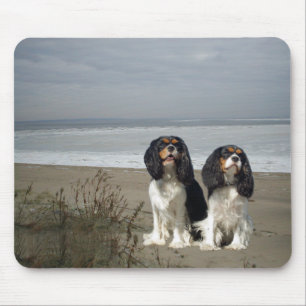 Alfombrilla De Ratón Perro de aguas de rey Charles arrogante Mousepad