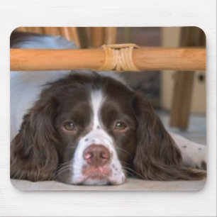 Alfombrilla De Ratón Perro de aguas de saltador inglés Mousepad