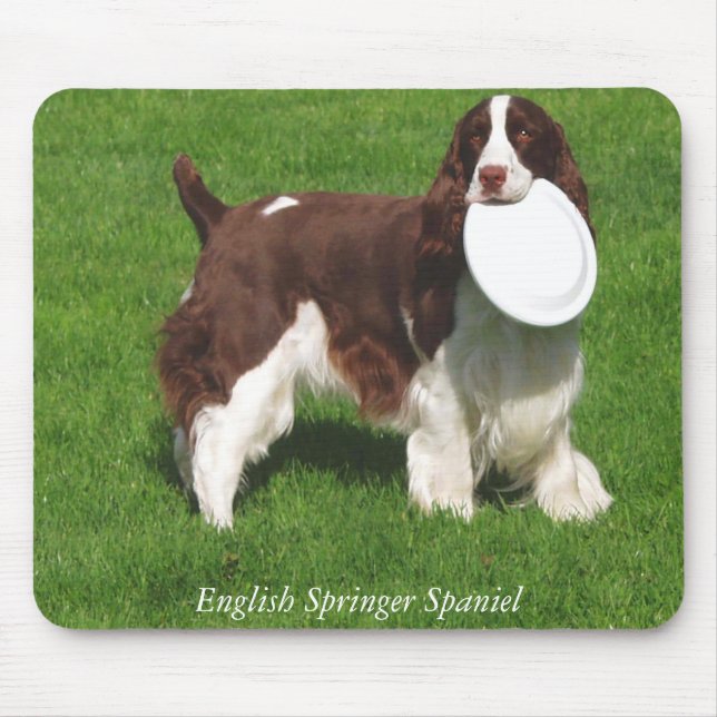 Alfombrilla De Ratón Perro de aguas de saltador inglés Mousepad (Frente)