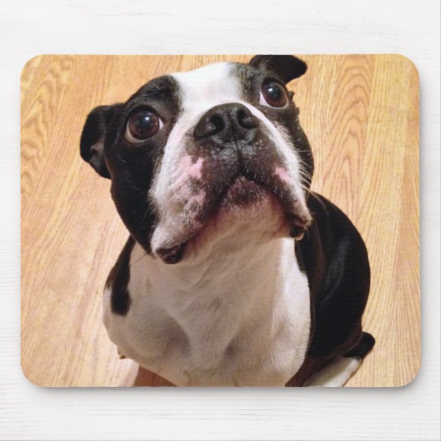 Alfombrilla De Ratón Perro de Boston Terrier (Frente)