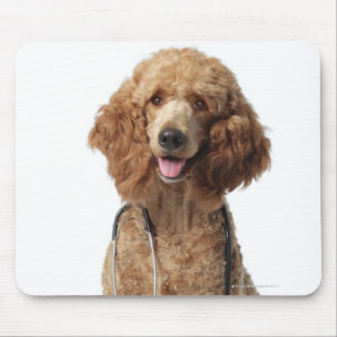 Alfombrilla De Ratón Perro de caniche de oro que lleva un estetoscopio