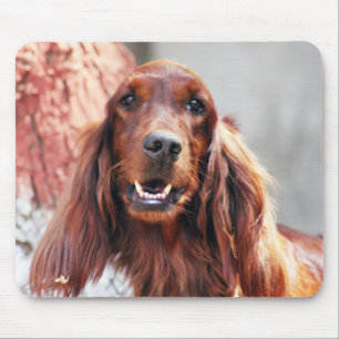 Alfombrilla De Ratón Perro de Irish Setter