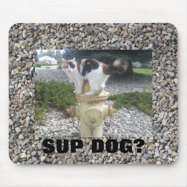 Alfombrilla De Ratón ¿Perro de los puños? Gato en hidrante (Frente)