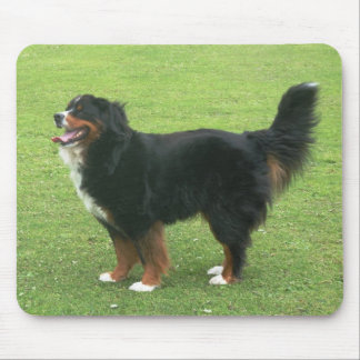 Alfombrilla De Ratón Perro de montaña de Bernese