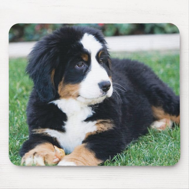 Alfombrilla De Ratón Perro de montaña de Bernese (Frente)
