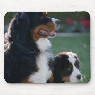 Alfombrilla De Ratón Perro de montaña de Bernese Mousepad