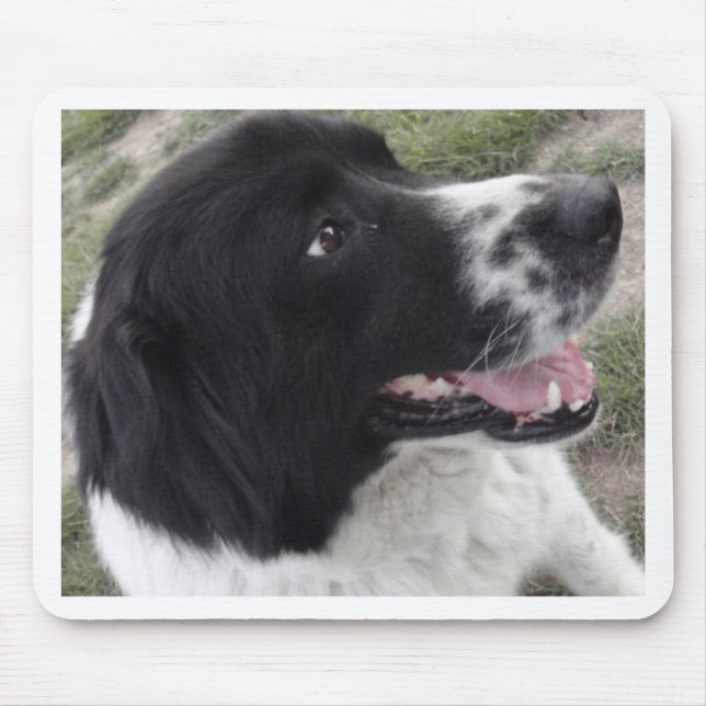 Alfombrilla De Ratón Perro de pastor búlgaro de Sara (Frente)