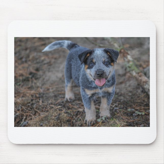 Alfombrilla De Ratón Perro de perrito australiano del ganado (Frente)