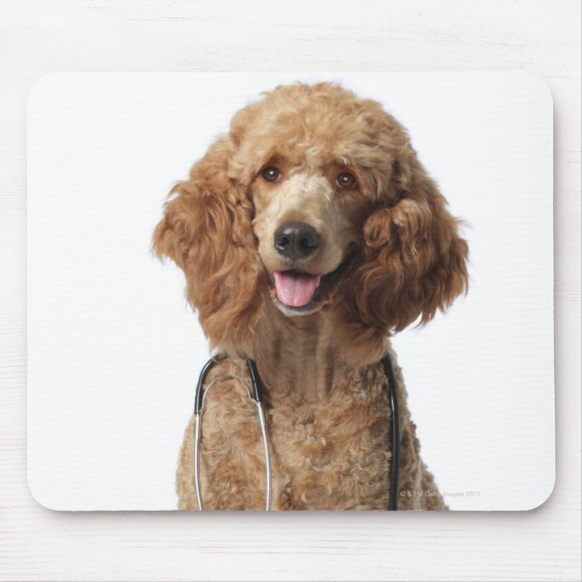 Alfombrilla De Ratón Perro de perro fideo dorado con estetoscopio (Frente)