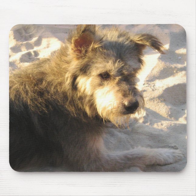 Alfombrilla De Ratón Perro de playa tailandés (Frente)